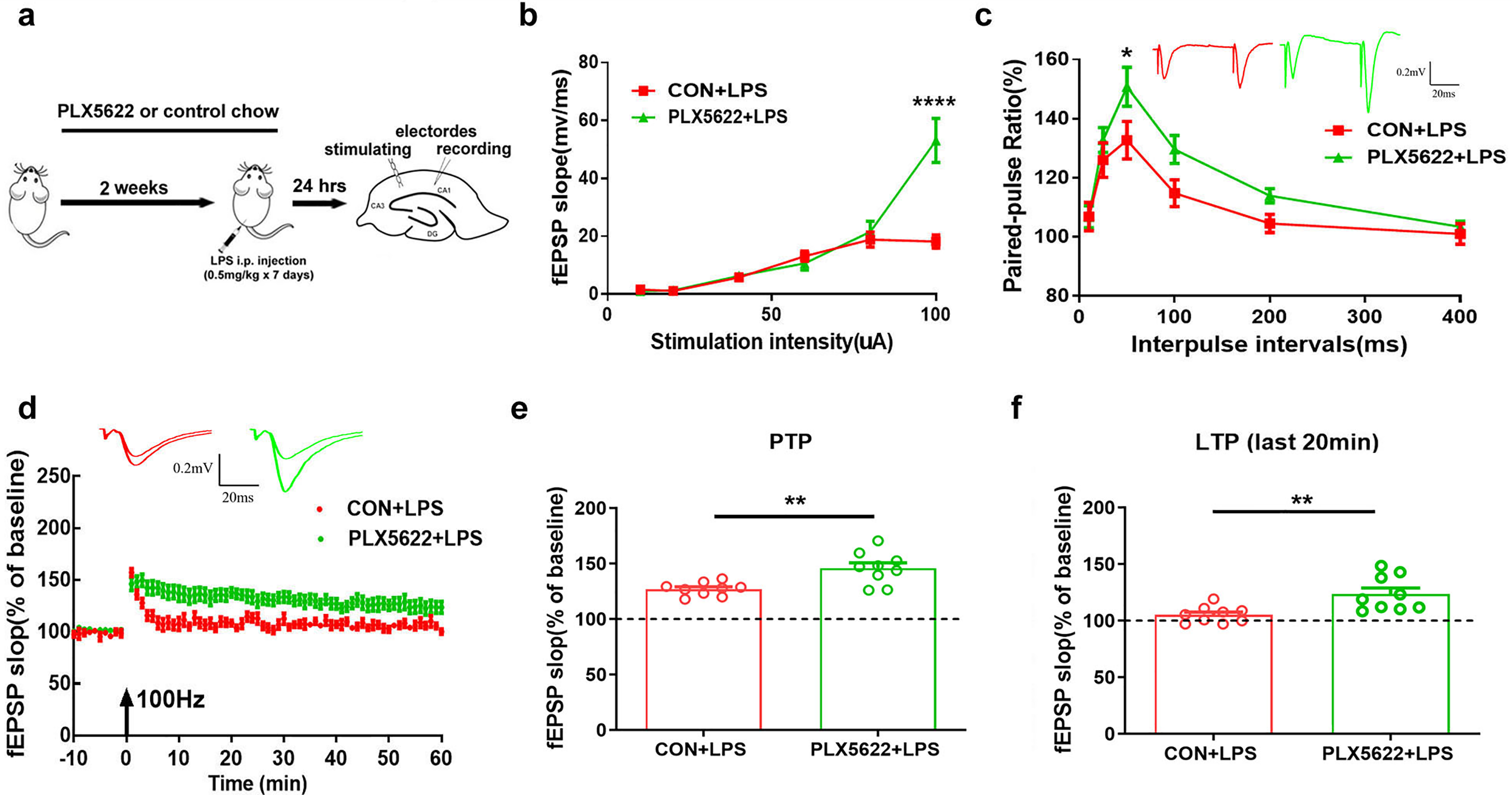 Microglial depletion rescues spatial memory impairment caused by  