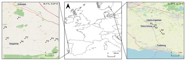 Geographic location of the ponds surveyed in the two study areas in Southern (Grândola, Portugal; n = 8) and Northern Europe (Trelleborg, Sweden; n = 5).