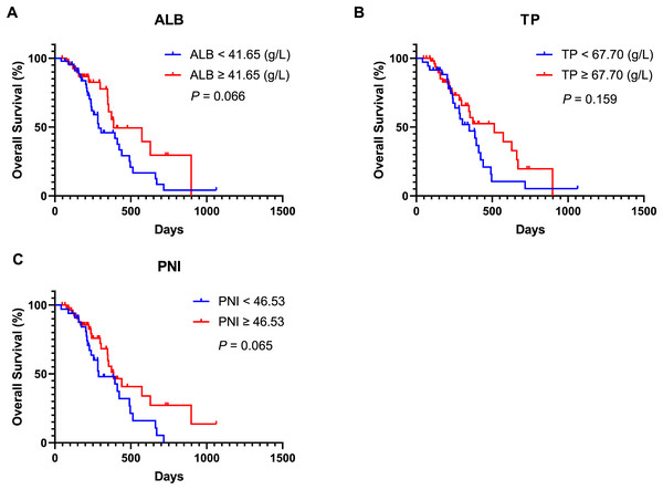 Kaplan-Meier curve for OS in AGC patients receiving immune checkpoint inhibitors combined with chemotherapy stratified based on baseline nutritional indicators.