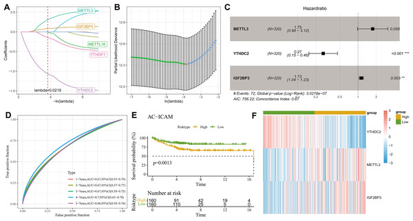 Establishment of clinical prognostic model.