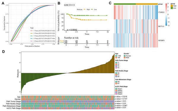 Validation of clinical prognostic model.