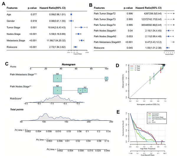 Identifying independent prognostic factor and constructing a nomogram.