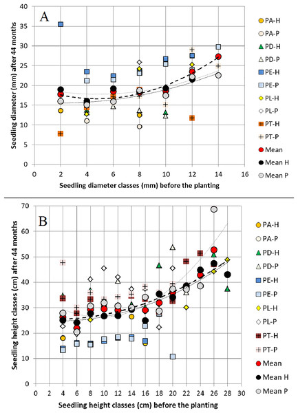 Relationships between (A) seedling root collar diameter classes (2 mm class width) and (B) seedling height classes (2 cm class width) before planting and the same variables 44 months after planting.