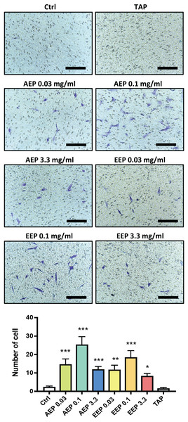 Effects of AEP and EEP on DPSC migration.