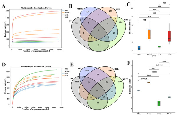 (A–F) Alpha diversity analysis of microbial communities on four fruit surfaces.