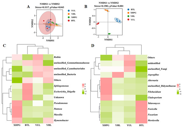 (A–D) Beta diversity analysis of microbial communities on four fruit surfaces.