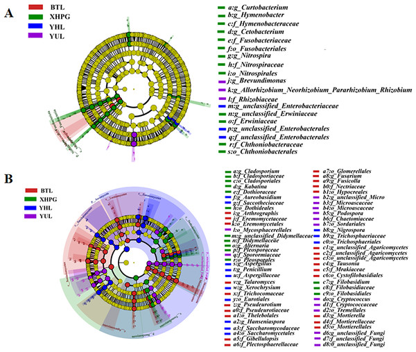 (A, B) Microbial communities significantly differing between the surfaces of four fruits.