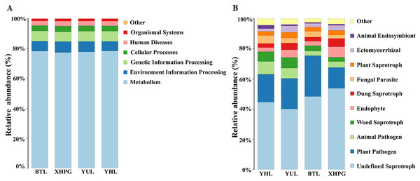 Prediction of bacterial and fungal functions.