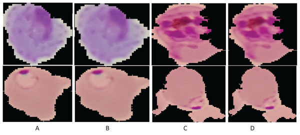 Enhancement results: (A and C) original images; (B and D) smoothing results.