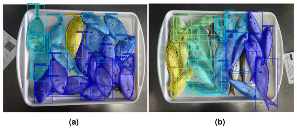 Examples of fish trays with specimen overlap. Successfully labelled (A); and with some missing exemplars (B).