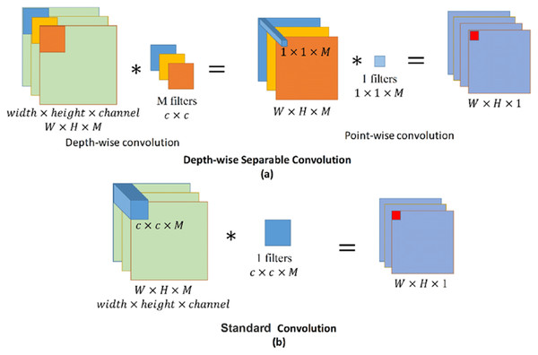 Standard and depth-wise separable convolutions.