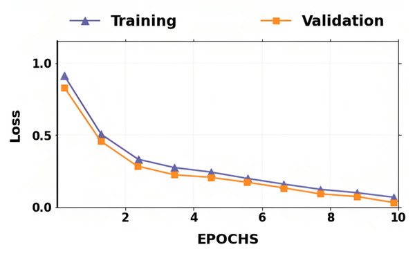 Accuracy of training and validation for the proposed lung cancer classification system.