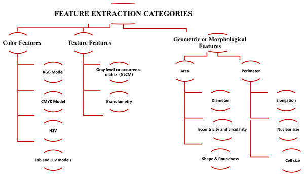 The summary of feature extraction categories, i.e., color features, texture features, and geometric or morphological features used for blood cell classification.