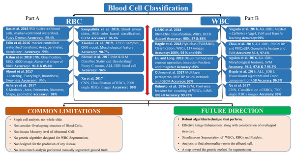 Blood cell classification literature.