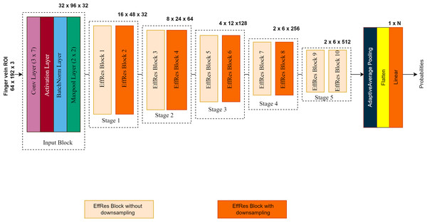 The overall architecture of the proposed FV-EffResNet.