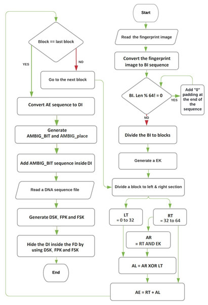 The flowchart of encryption and hiding.