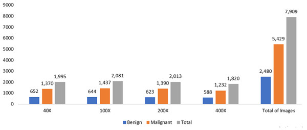 Data distribution from BreakHis dataset.