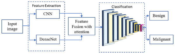 The proposed methodology of the breast cancer prediction with feature fusion on CNN and DenseNet.