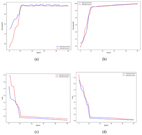 Accuracy and loss of the proposed model to detect breast cancer: (A, C) BreakHis, and (B, D) WBC.