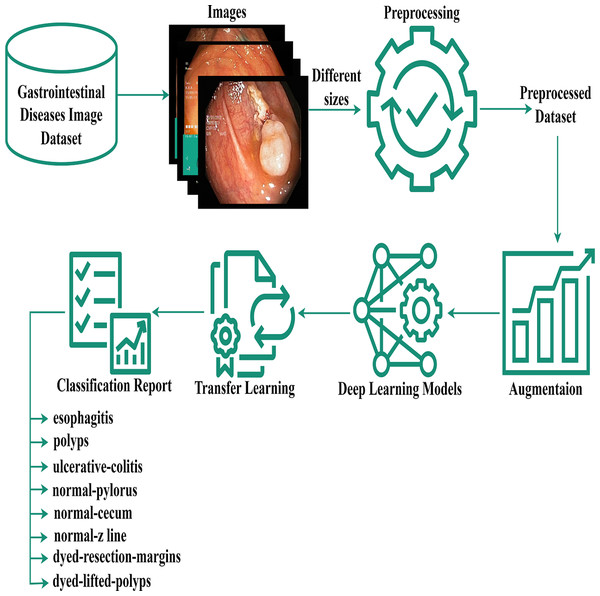 Gastrointestinal flow diagram.