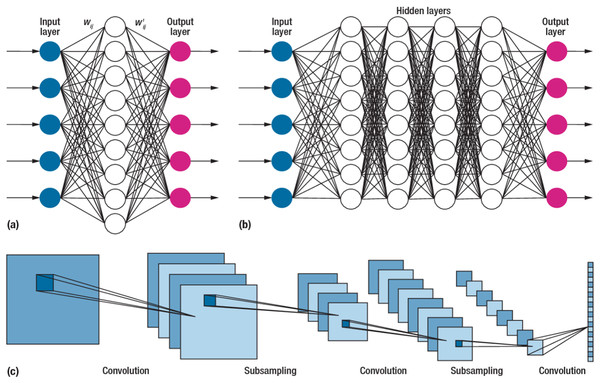The structure of the convolutional neural network.
