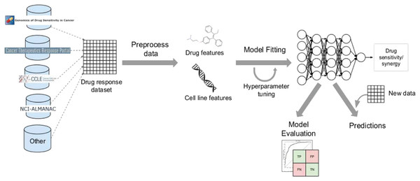 Cell lines, somatic mutations, copy number variations, and gene expression data are familiar input data sources for data-driven drug response prediction models.