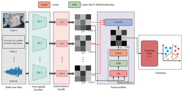 Illustration of the workflow of AMCFCN.