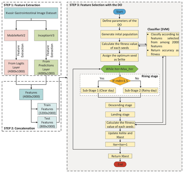 Flowchart of DO-CNN architecture.