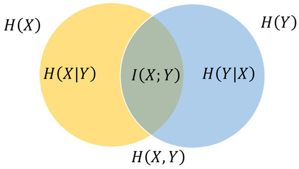 Venn diagram (Cover, 1999) shows additive and subtractive associations among diverse information metrics pertaining to correlated variables X and Y.
