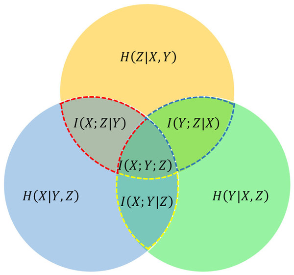 Venn diagram of information-theoretic measures for three variables X, Y, and Z, represented by the lower left, lower right, and upper circles, respectively.