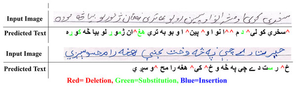 Visual comparison of input images with the predicted output.