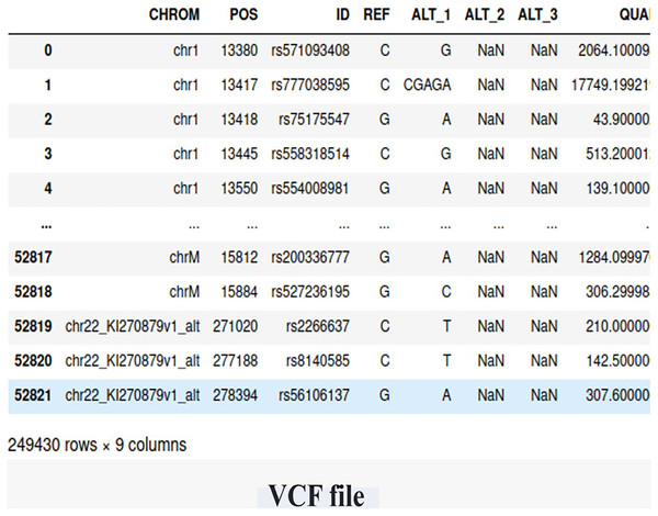 The snapshot of the dataset (VCF file).