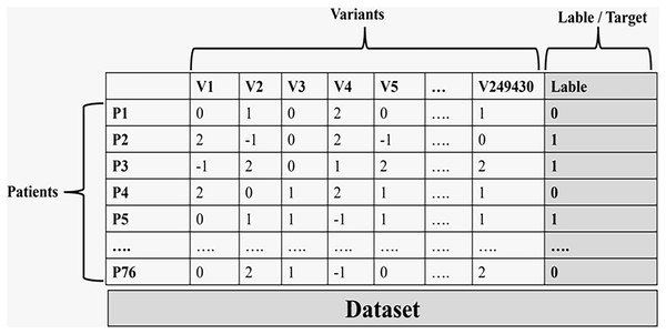 The final data set that is used in the machine learning process.