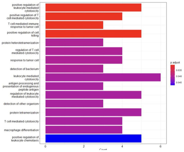 The GO analysis conducted in R reveals significant biological processes linked to the genes of interest.