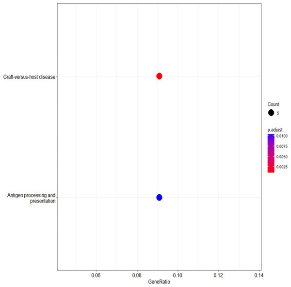 The enriched KEGG pathways analysed using R linked to the selected genes, providing insights into their functional relationships and potential roles in biological processes.