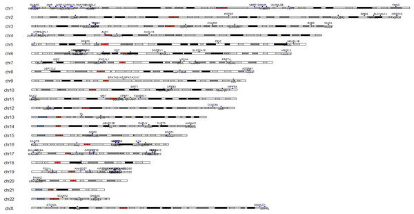 Karyotype with SNP locations represented by blue points.