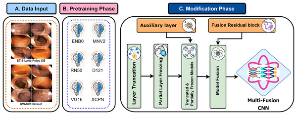 MF-CNN’s fusion schematic combines model strength for GI diagnosis.