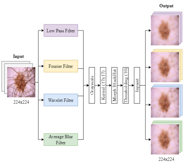 Filtering and hair removal algorithm.