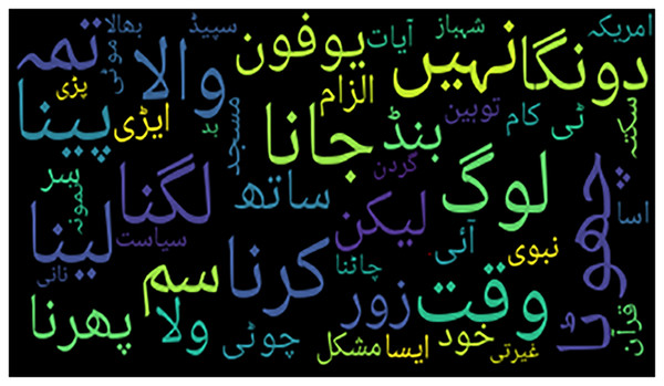 Word cloud of Urdu tweets labeled as ‘insulting’ but classified as ‘non-bullying’.