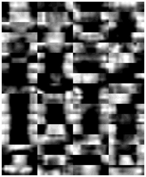 The feature maps derived from the deep layer of DiatomNet.