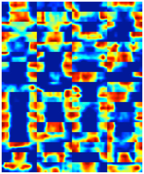 The heat maps corresponding to the feature maps derived from the deep layer of DiatomNet.