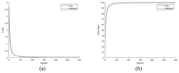 (A) Loss and (B) accuracy plots for the training phases of the CNN models on the augmented dataset.
