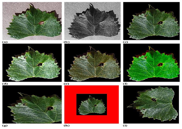 Experimental outputs of CFSA+TL-based CNN+LeNet with (A) input image (B) pre-processed image (C) segmented image (D) contrast enhanced image (E) hue image (F) saturated image (G) affine transformed image (H) padded image (I) rotated image (J) translated image.