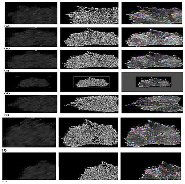 Experimental outcomes of CFSA+TL-based CNN+LeNet with (A) affine transformation of DWT-OCLBP, LTP and SIFT (B) contrast of DWT-OCLBP image, LTP and SIFT (C) hue of DWT-OCLBP image, LTP and SIFT (D) padding of DWT-OCLBP image, LTP and SIFT (E) rotation of DWT-O.