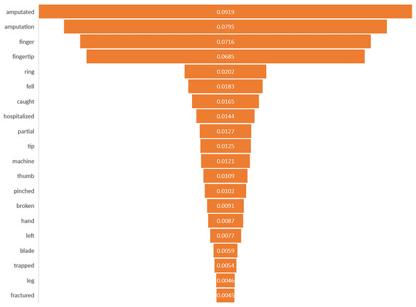 Importance of keywords for amputation.