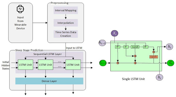 Sleep stage prediction using LSTM.