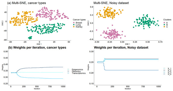 Cancer types and NDS with automated weight adjustments.