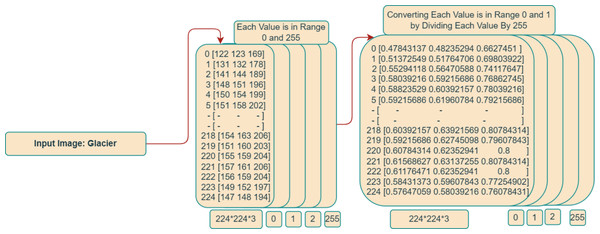 Integer matrix from image.