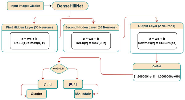 Classifying an input image using DenseHillNet.