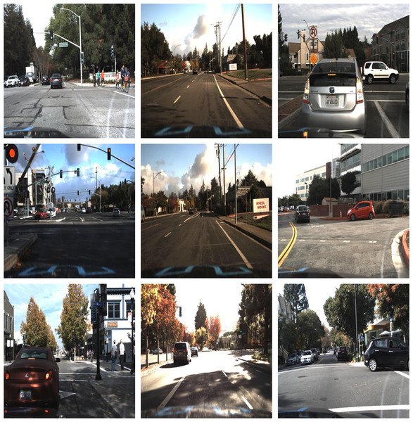 Sample images extracted from datasets.